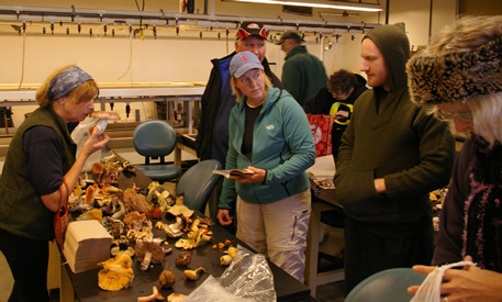 Unpacking for science at the Russula blitz