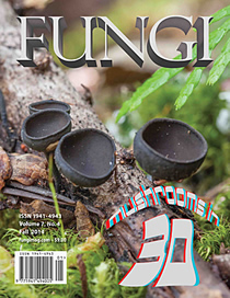 Fungi Magazine