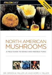 guide to north american mushrooms