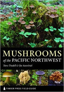 mushrooms of pacific northwest