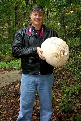 Calvatia gigantea