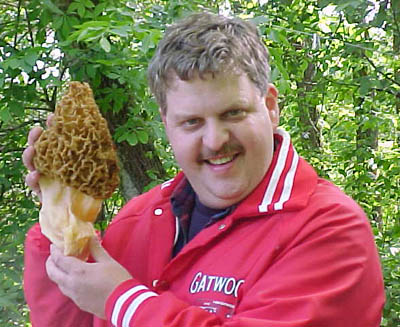 Morchella esculenta