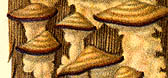Trichaptum abietinum