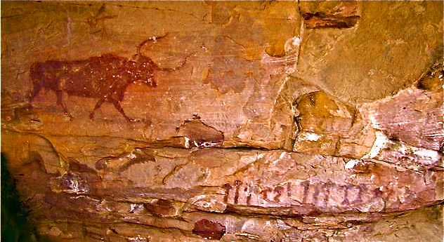 The Selva Pascuala rock painting, with bull at upper left and mushrooms lower right. Photo by Alan Piper